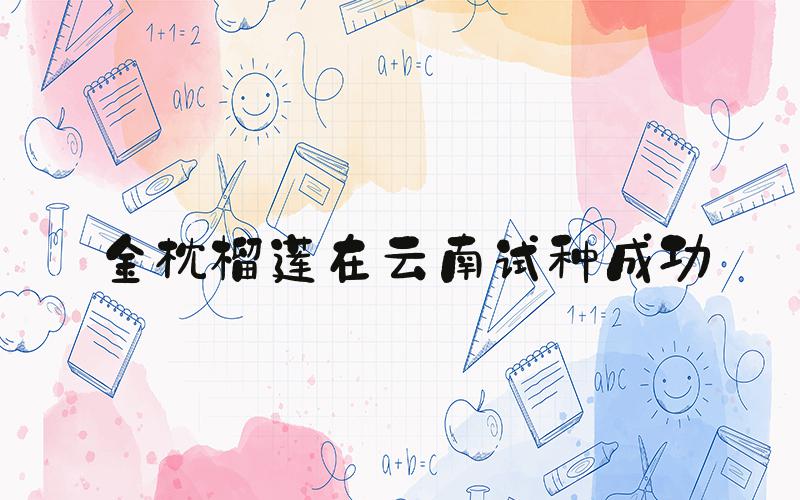 金枕榴莲在云南试种成功