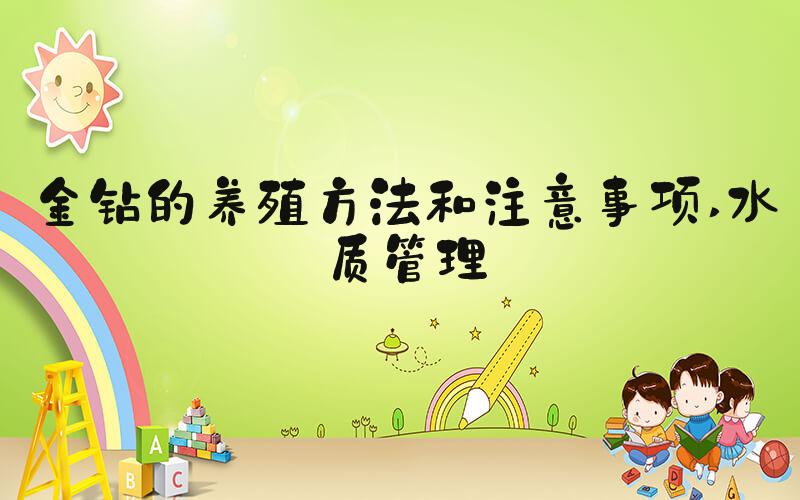 金钻的养殖方法和注意事项 水质管理