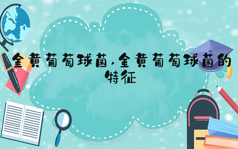 金黄葡萄球菌 金黄葡萄球菌的特征