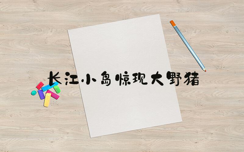 长江小岛惊现大野猪