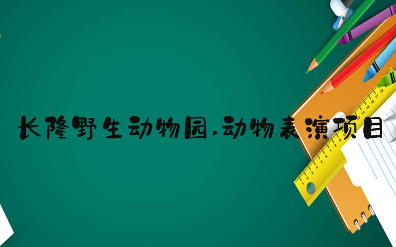 长隆野生动物园 动物表演项目