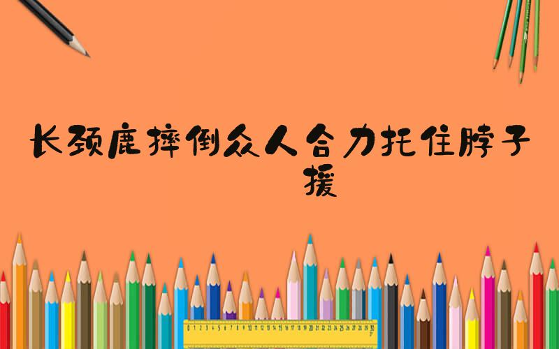 长颈鹿摔倒众人合力托住脖子救援
