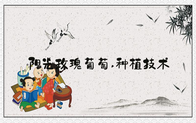 阳光玫瑰葡萄 种植技术