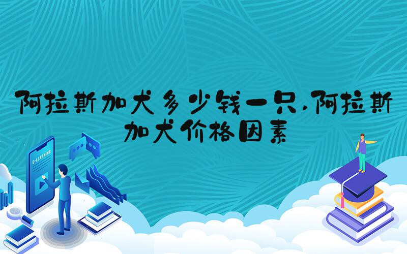 阿拉斯加犬多少钱一只 阿拉斯加犬价格因素