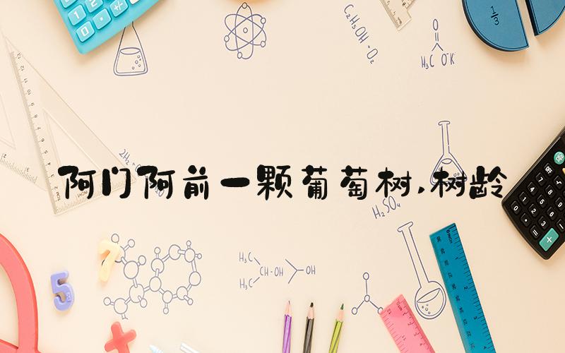 阿门阿前一颗葡萄树 树龄