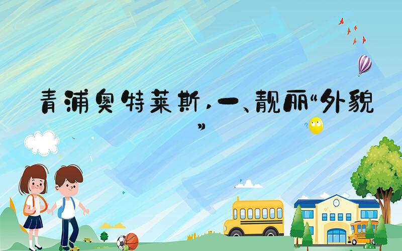 青浦奥特莱斯 一、靓丽“外貌”