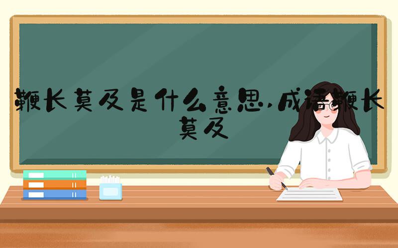 鞭长莫及是什么意思 成语鞭长莫及
