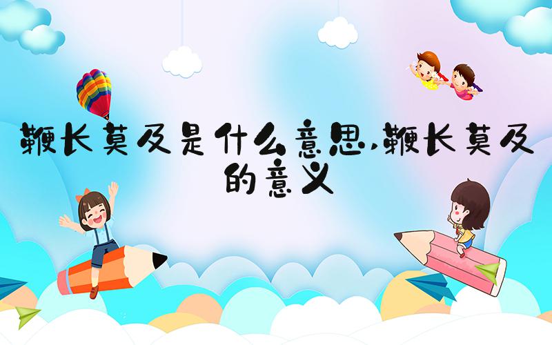 鞭长莫及是什么意思 鞭长莫及的意义