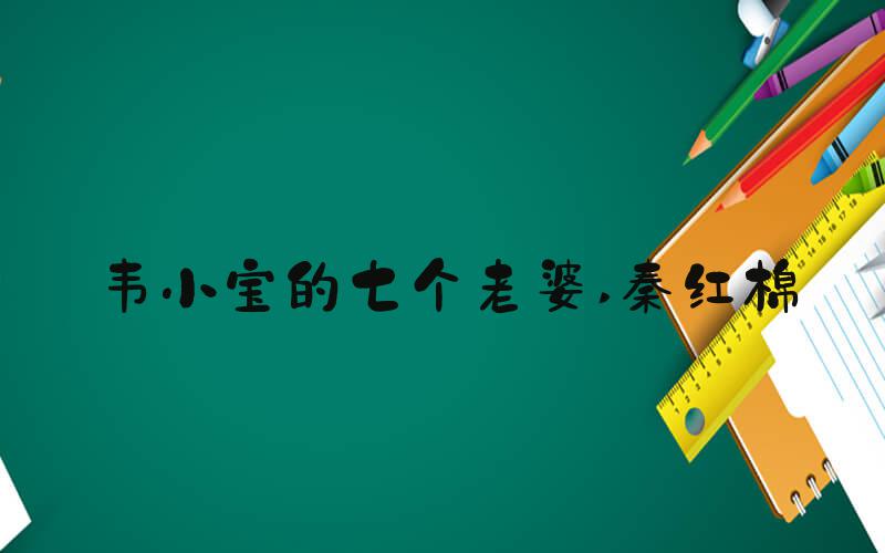 韦小宝的七个老婆 秦红棉