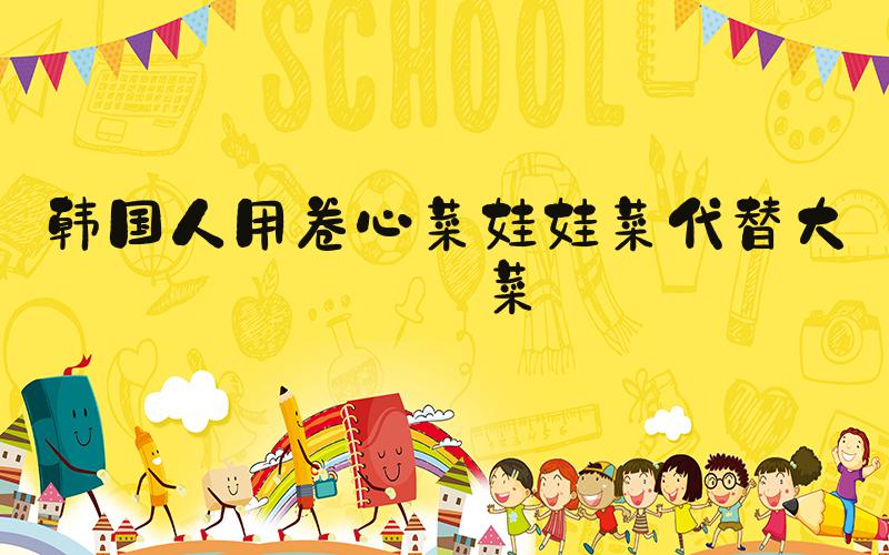 韩国人用卷心菜娃娃菜代替大白菜