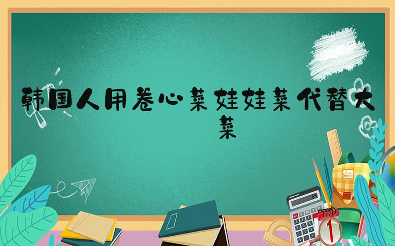 韩国人用卷心菜娃娃菜代替大白菜