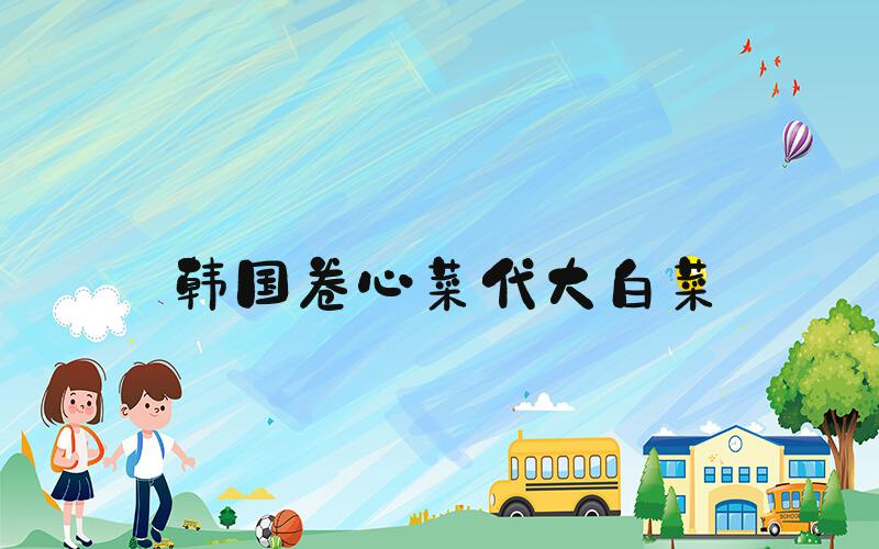 韩国卷心菜代大白菜