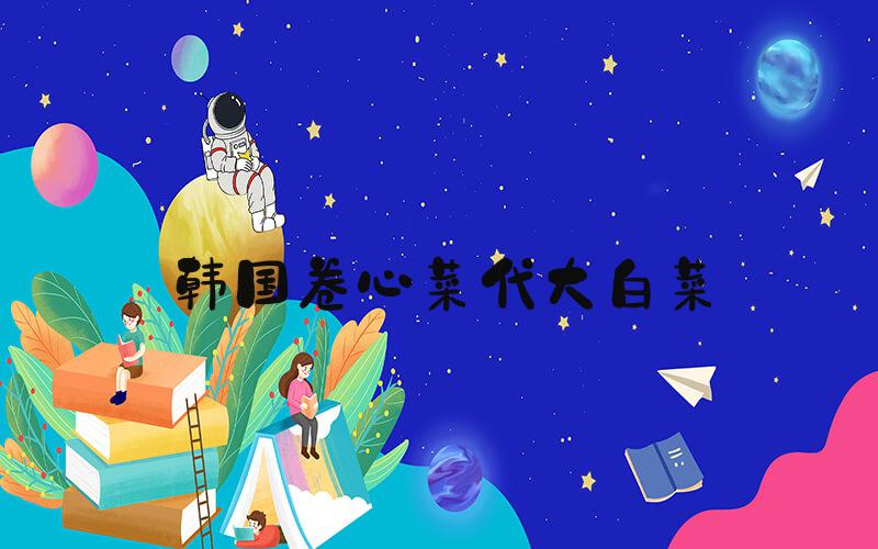 韩国卷心菜代大白菜