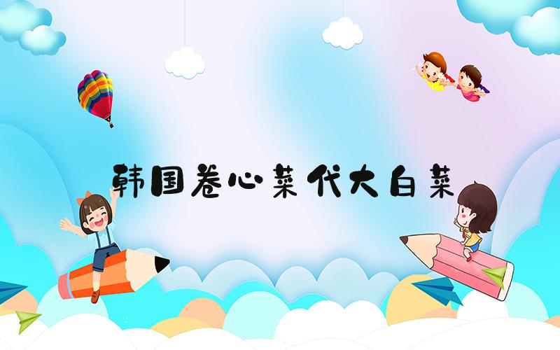 韩国卷心菜代大白菜