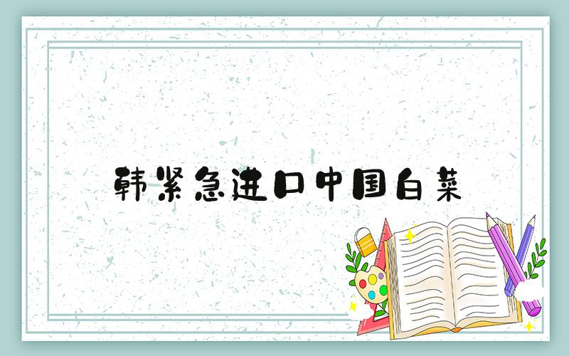 韩紧急进口中国白菜