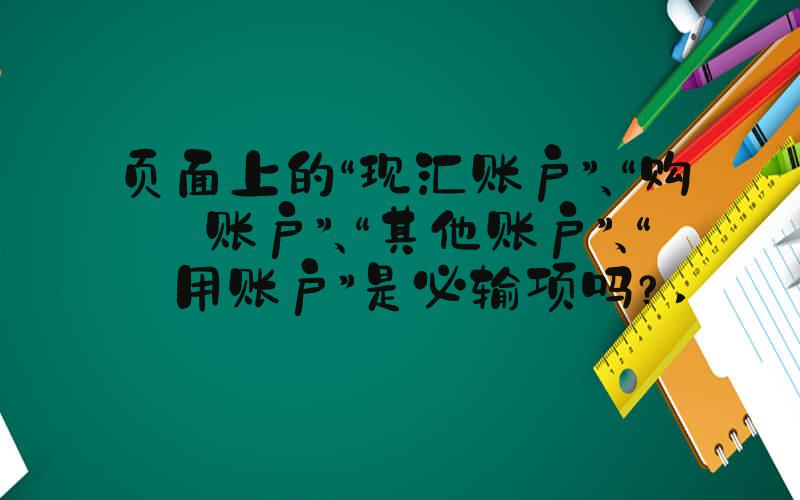 页面上的“现汇账户”、“购汇账户”、“其他账户”、“费用账户”是必输项