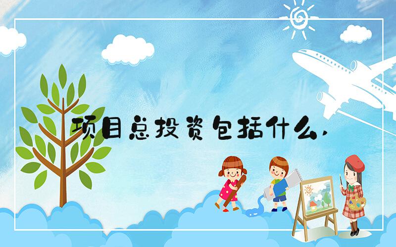 项目总投资包括什么 