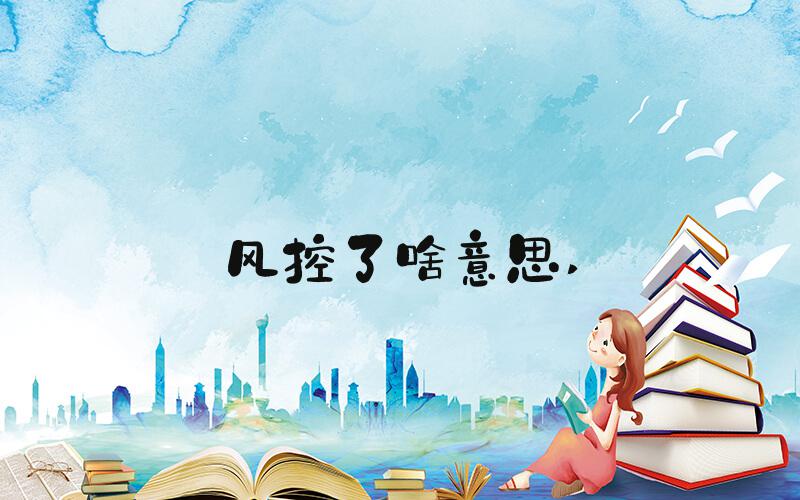 风控了啥意思 