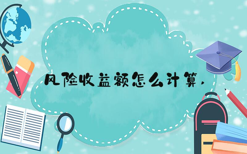 风险收益额怎么计算 