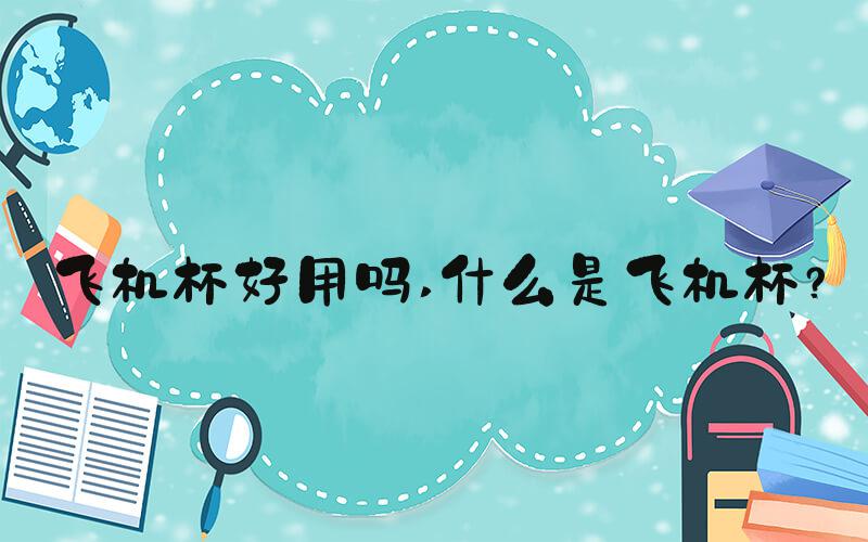 飞机杯好用吗 什么是飞机杯？