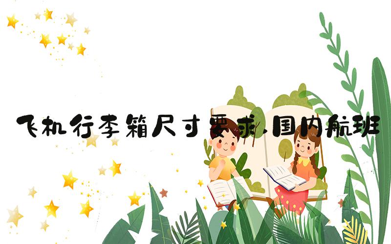 飞机行李箱尺寸要求 国内航班