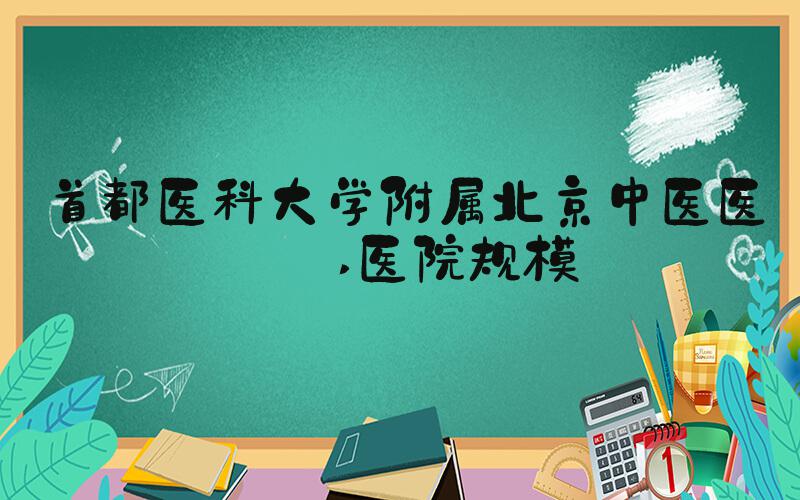 首都医科大学附属北京中医医院 医院规模