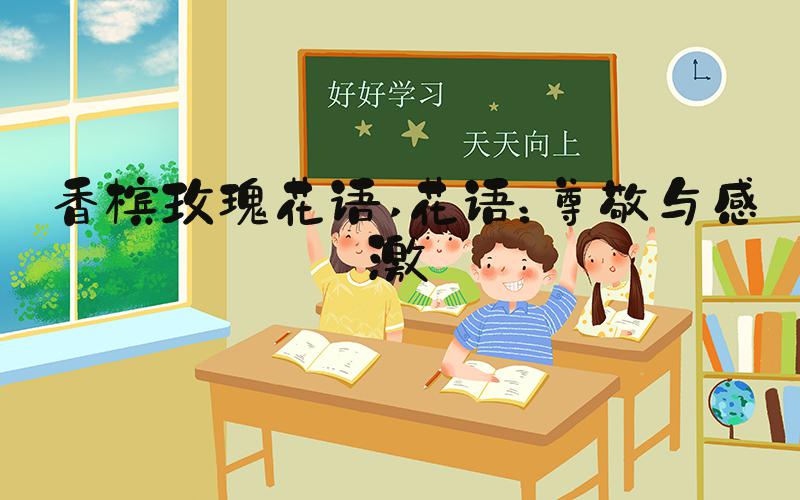 香槟玫瑰花语 花语：尊敬与感激