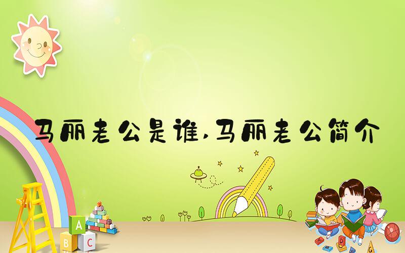 马丽老公是谁 马丽老公简介