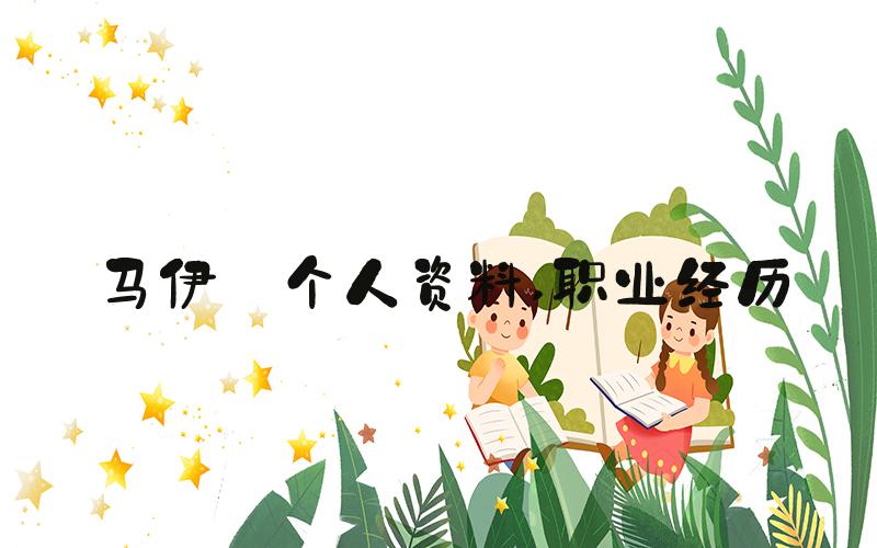 马伊琍个人资料 职业经历