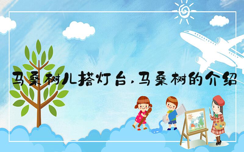 马桑树儿搭灯台 马桑树的介绍