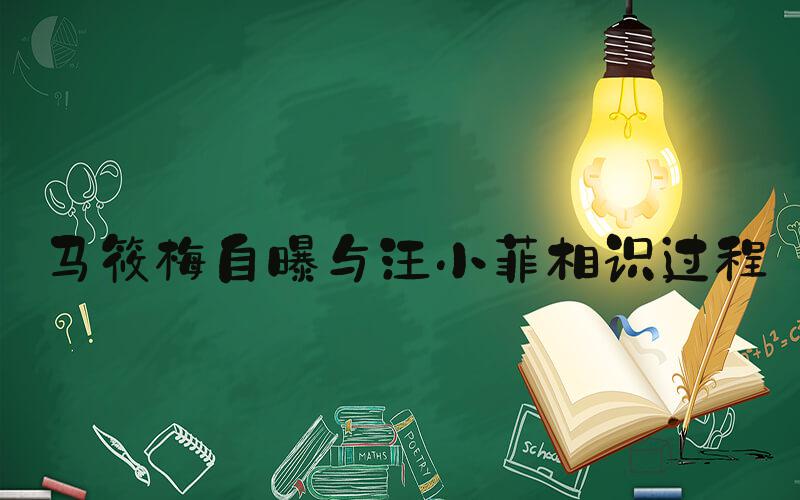 马筱梅自曝与汪小菲相识过程