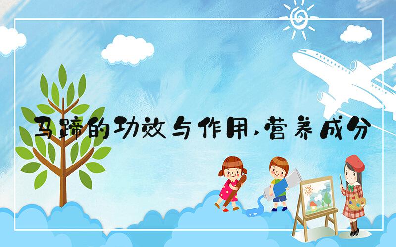 马蹄的功效与作用 营养成分