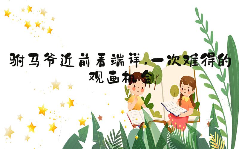 驸马爷近前看端详 一次难得的观画机会