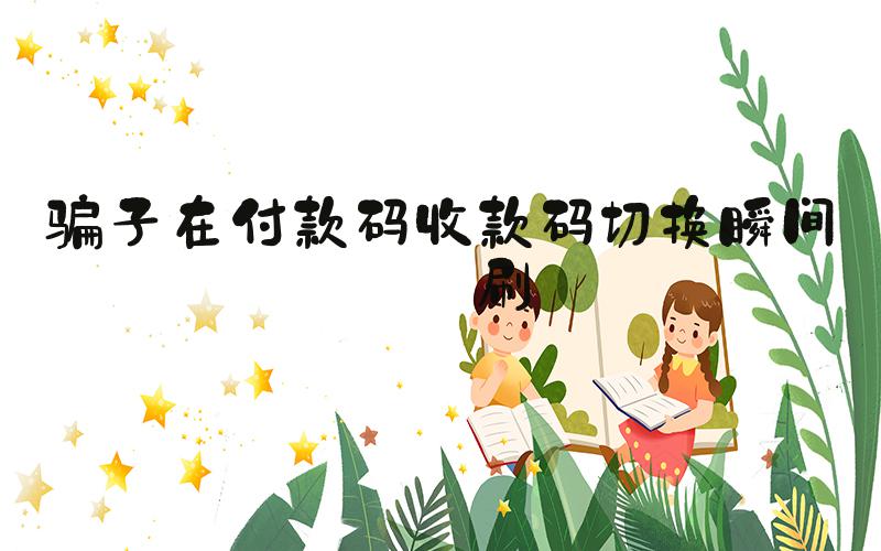 骗子在付款码收款码切换瞬间盗刷