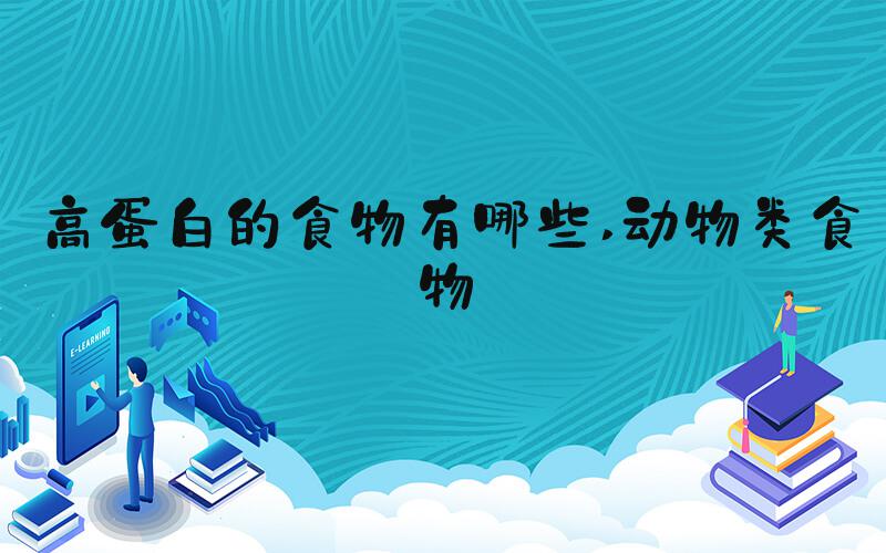 高蛋白的食物有哪些 动物类食物