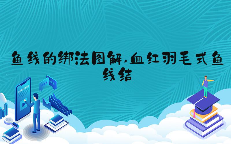 鱼线的绑法图解 血红羽毛式鱼线结