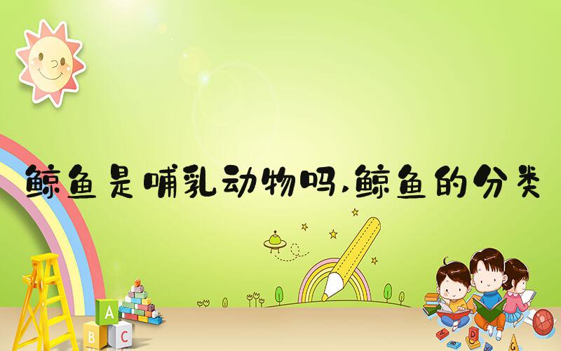 鲸鱼是哺乳动物吗 鲸鱼的分类