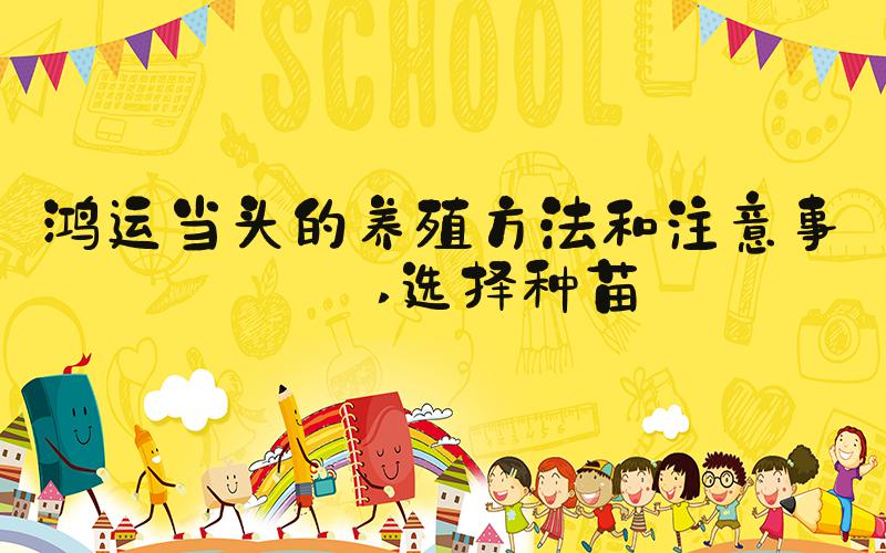 鸿运当头的养殖方法和注意事项 选择种苗