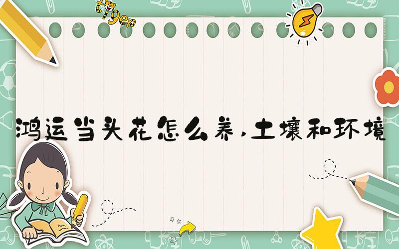 鸿运当头花怎么养 土壤和环境