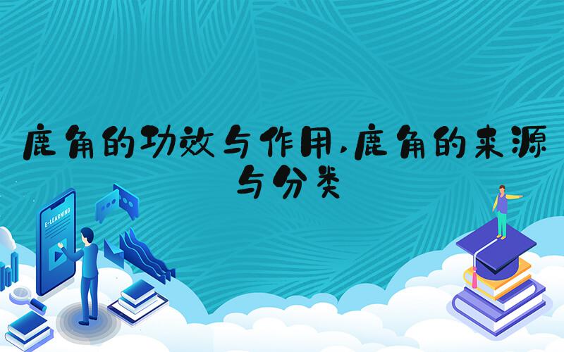 鹿角的功效与作用 鹿角的来源与分类