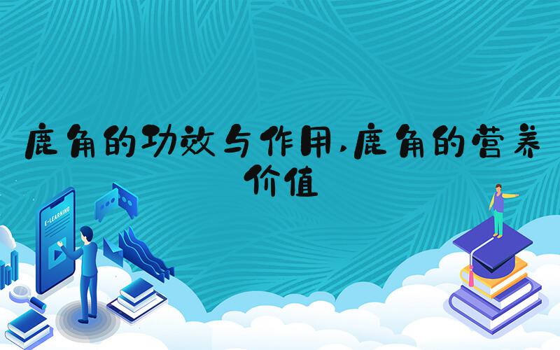 鹿角的功效与作用 鹿角的营养价值