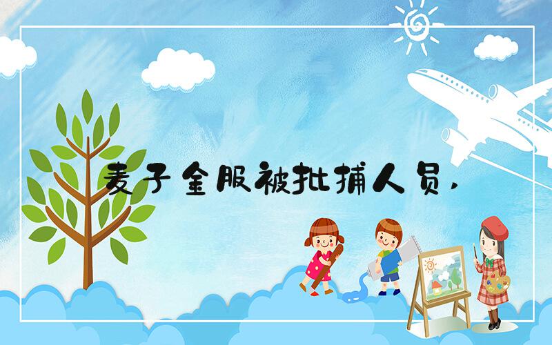 麦子金服被批捕人员 