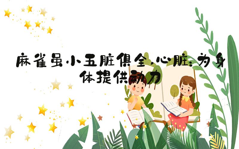 麻雀虽小五脏俱全 心脏：为身体提供动力