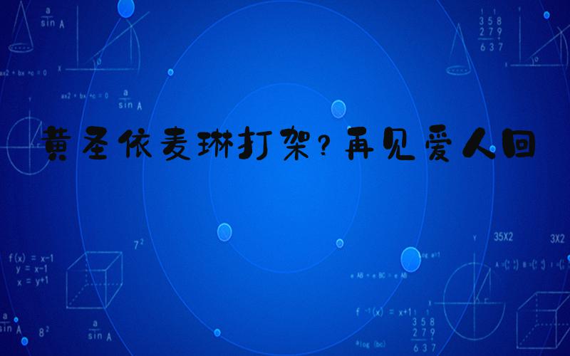 黄圣依麦琳打架？再见爱人回应
