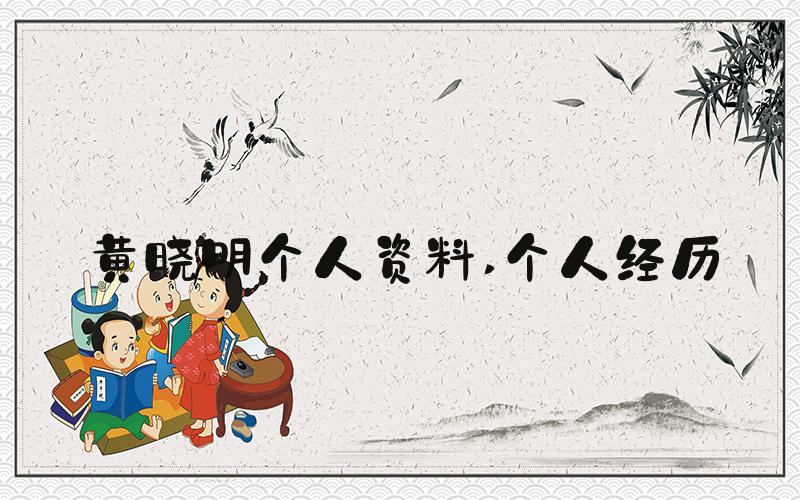 黄晓明个人资料 个人经历