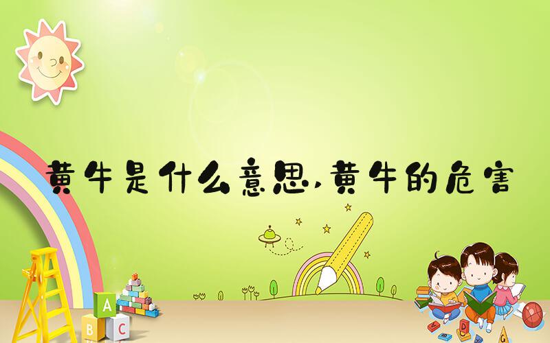 黄牛是什么意思 黄牛的危害