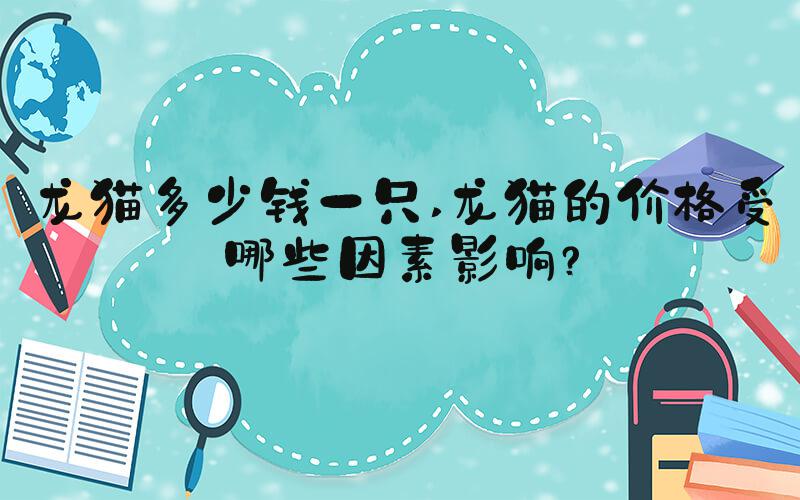 龙猫多少钱一只 龙猫的价格受哪些因素影响？
